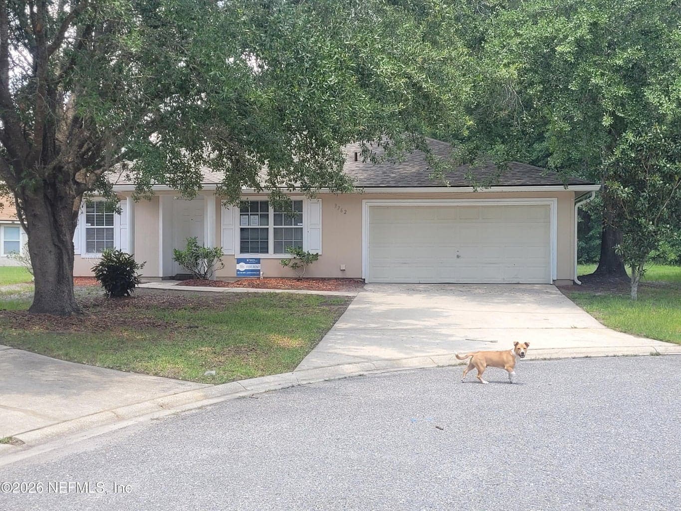 3762 LAUREN OAK Lane E, Jacksonville, FL 32221