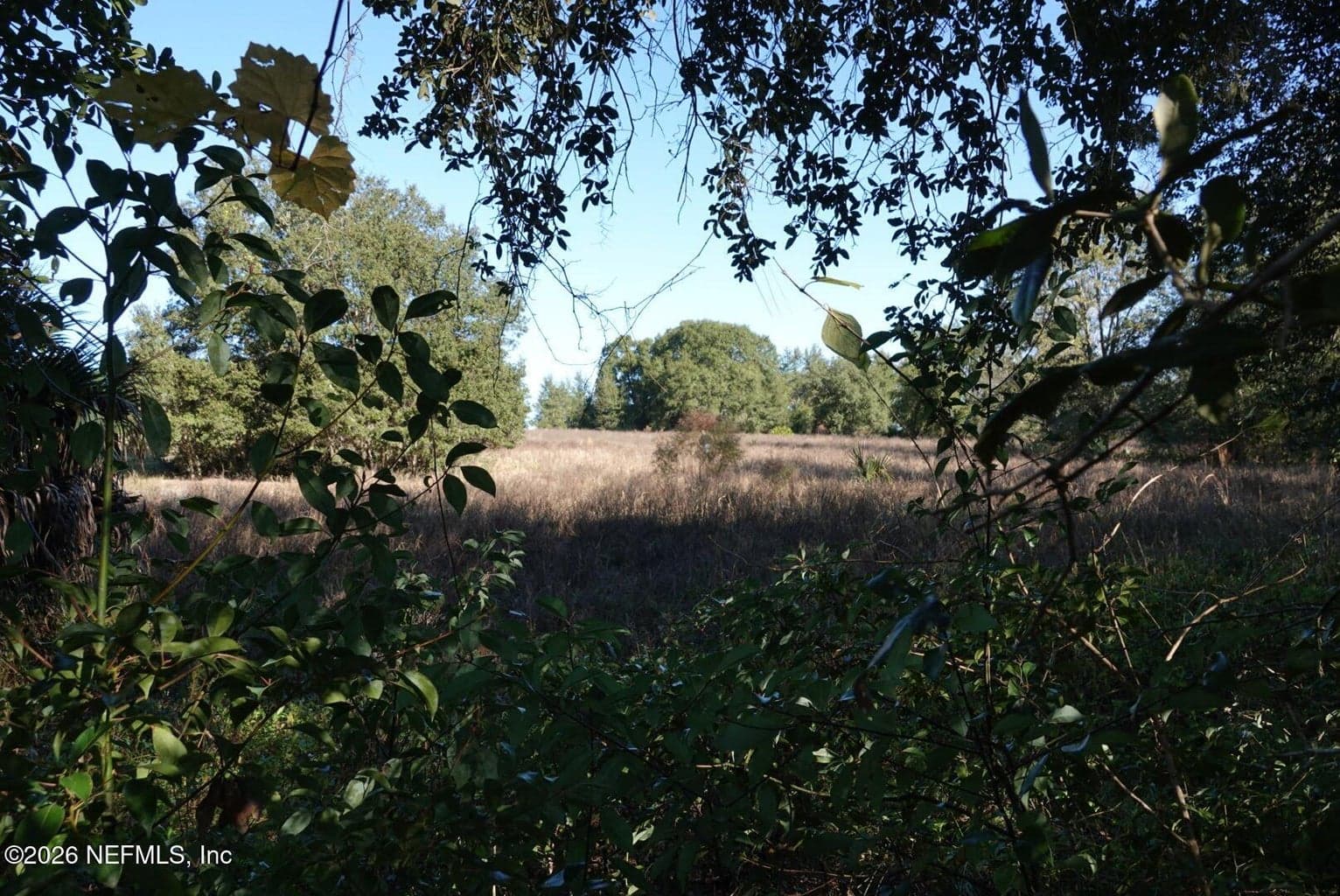 525 RAULERSON Road, Seville, FL 32190
