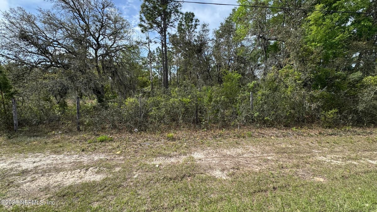 00 STATE RD 20, Interlachen, FL 32148 3
