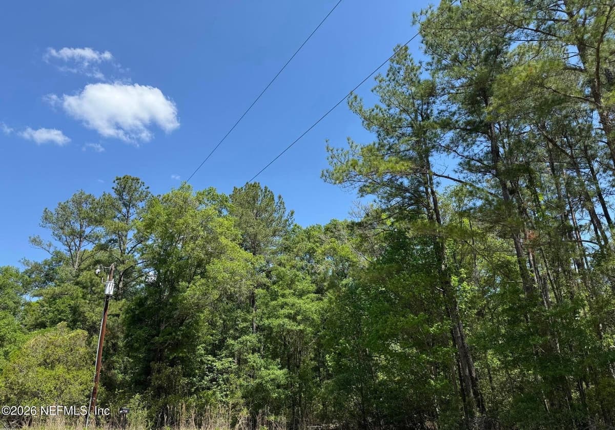 TBD NE 20TH Lane, Lawtey, FL 32058 3