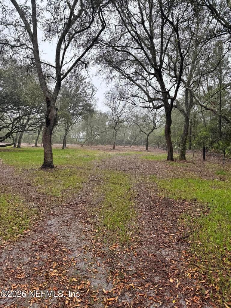 228 BROWNS HAMMOCK Road, Crescent City, FL 32112 3