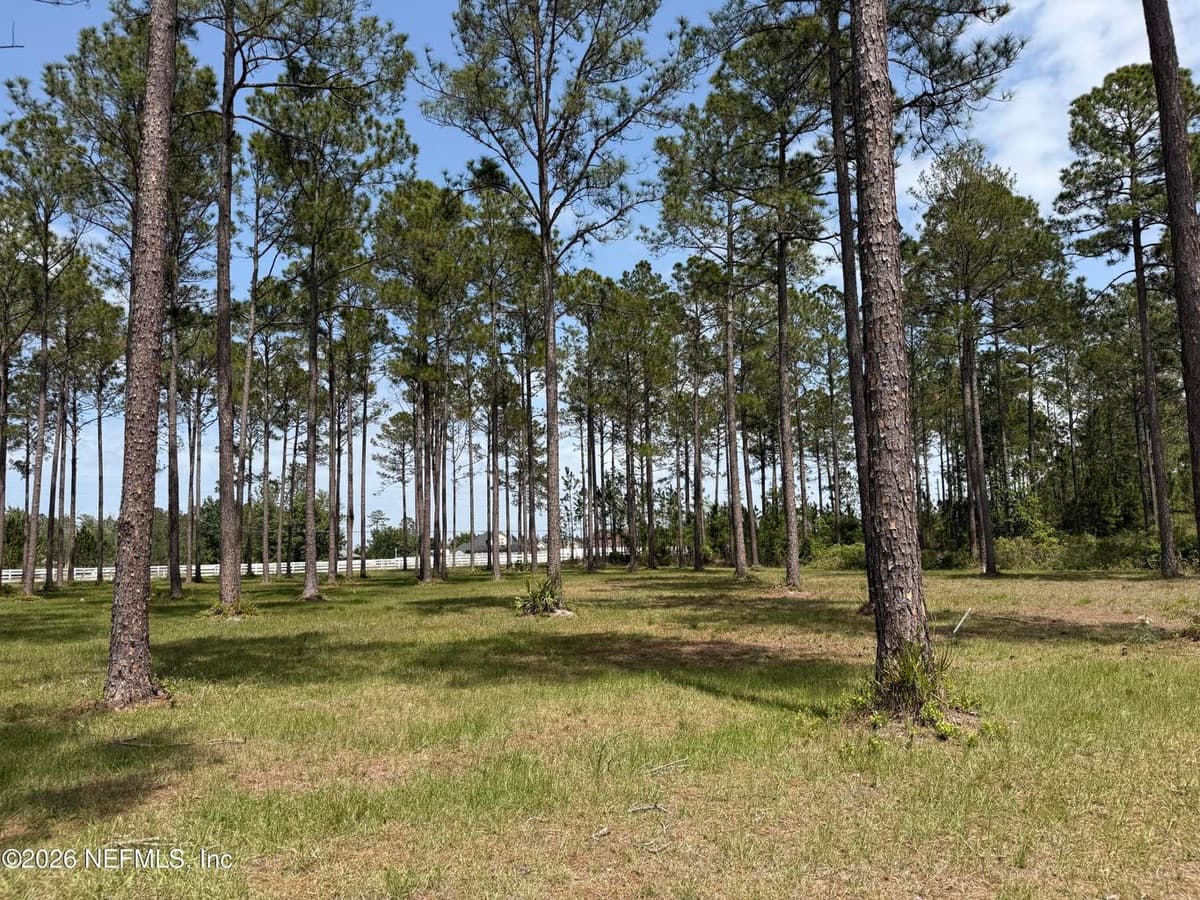 10107 HUNTERS CHASE Court, Jacksonville, FL 32219 2
