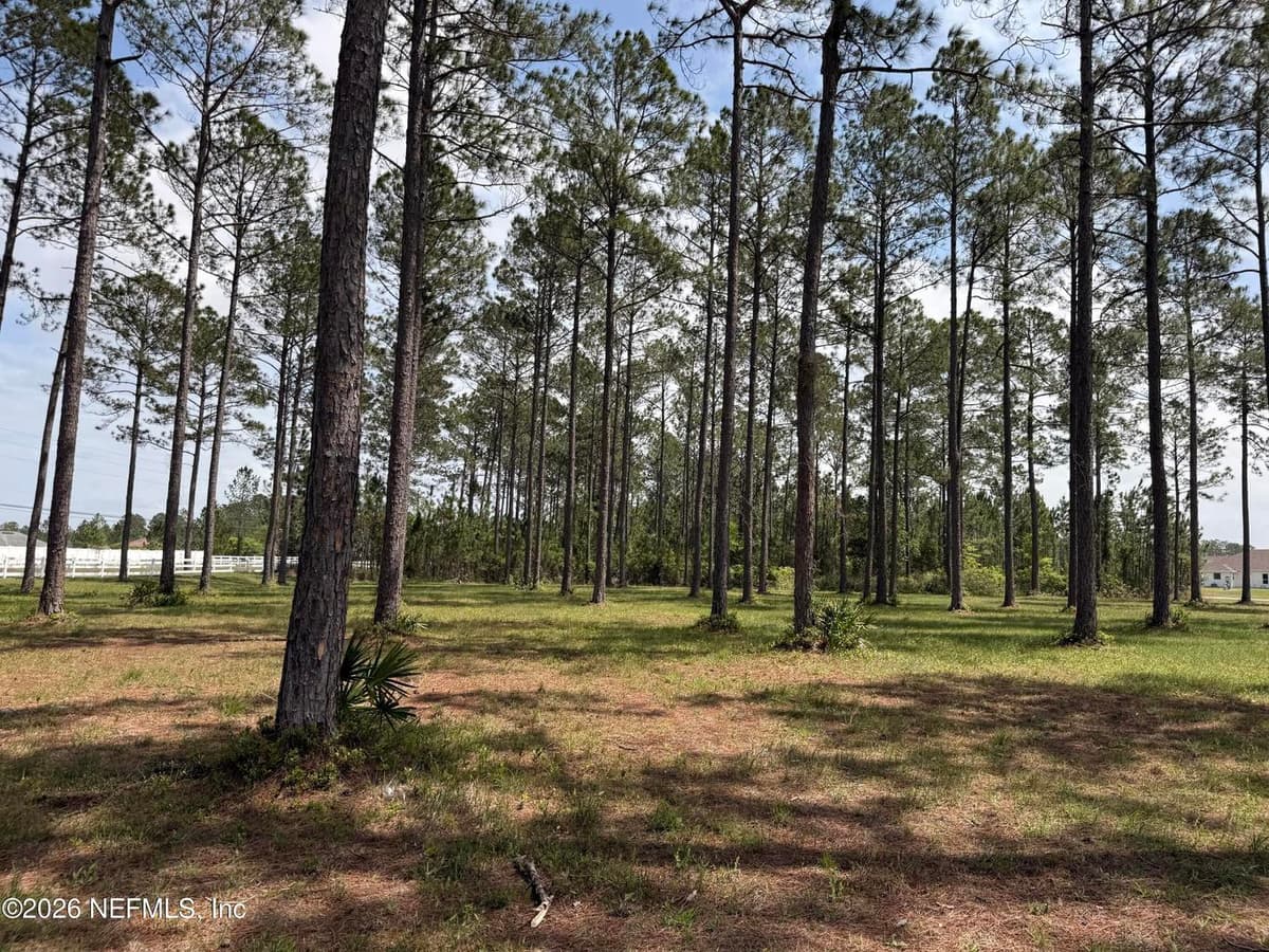 10107 HUNTERS CHASE Court, Jacksonville, FL 32219 3