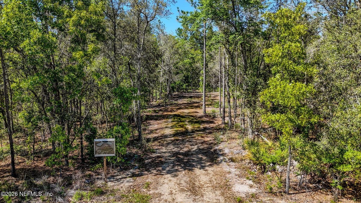 13541 SETTINDOWN Drive, Bryceville, FL 32009 2
