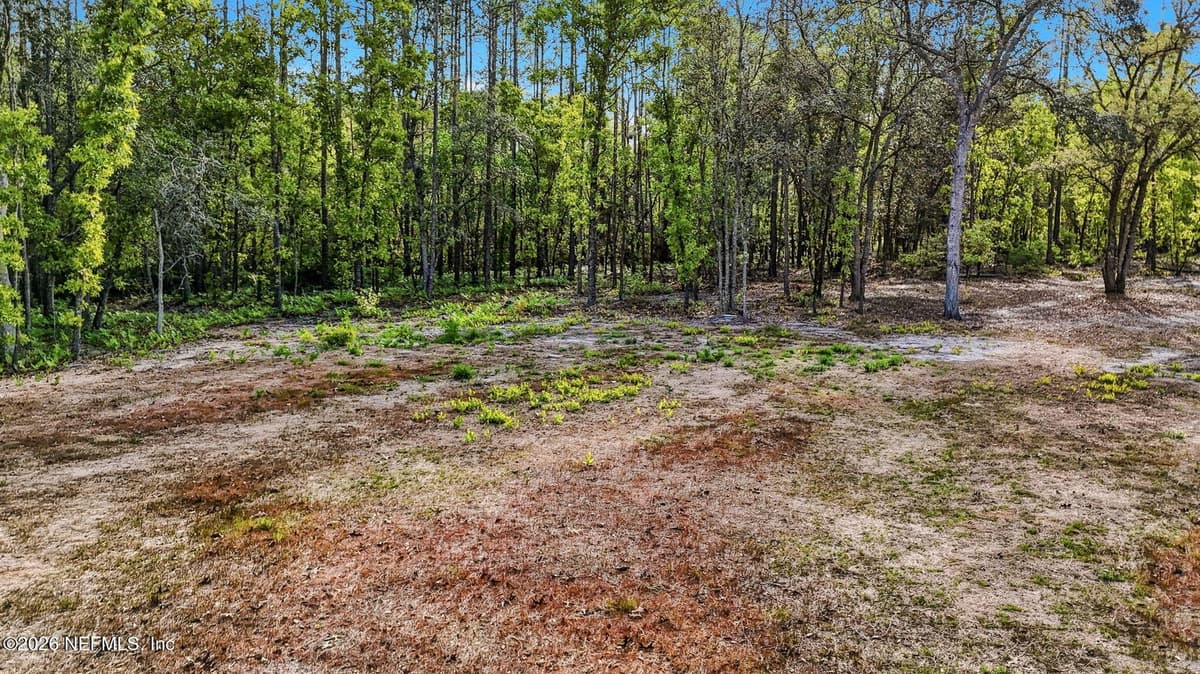 13541 SETTINDOWN Drive, Bryceville, FL 32009 3