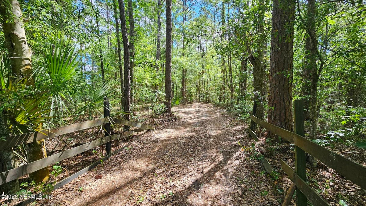 6324 LANNIE Road, Jacksonville, FL 32218 3