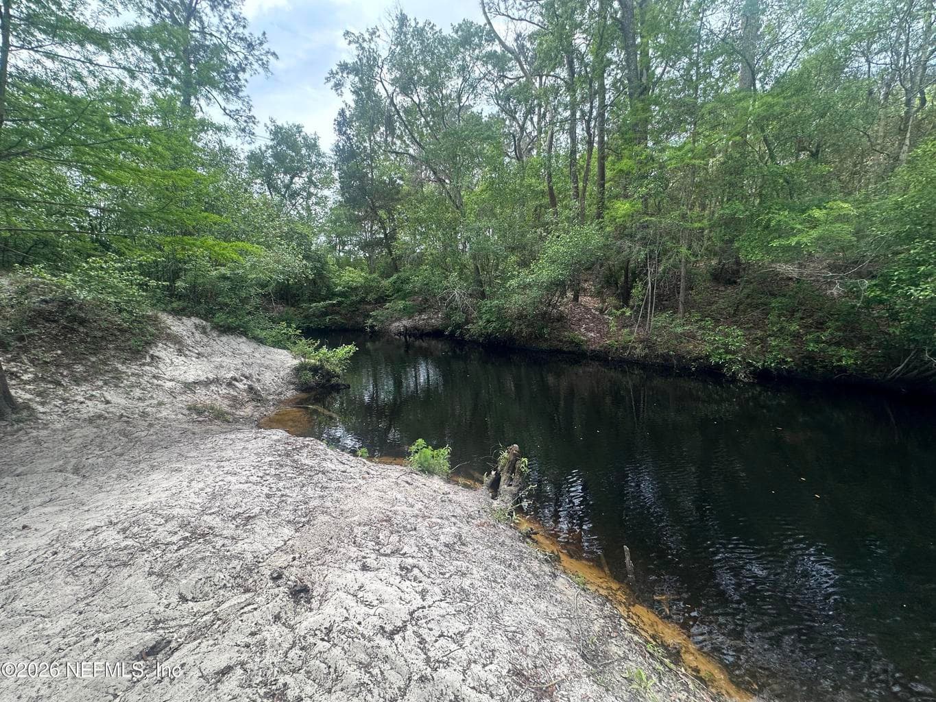 000 BLACK CREEK Drive, Middleburg, FL 32068