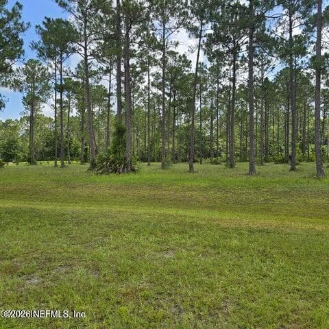 11053 CLARION Court, Jacksonville, FL 32219 3