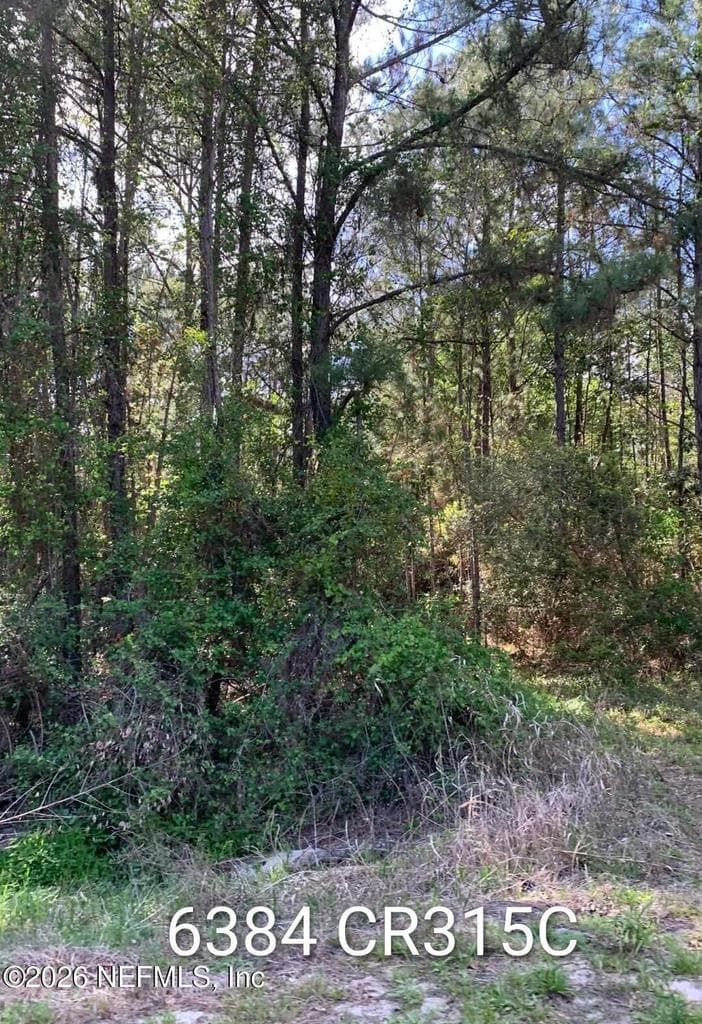 6384 COUNTY ROAD 315, Keystone Heights, FL 32656 2