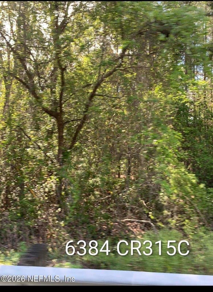 6384 COUNTY ROAD 315, Keystone Heights, FL 32656 3