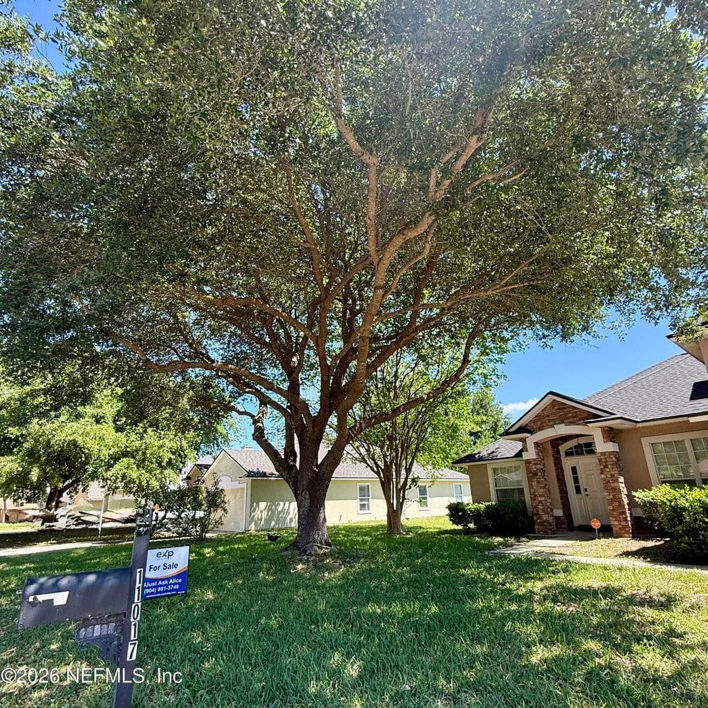 11017 APPLE BLOSSOM Trail W, Jacksonville, FL 32218 3