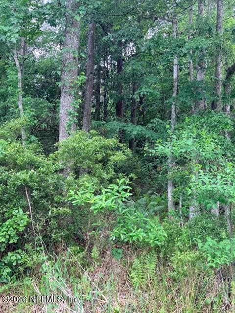 0 OLD KINGS Road, Jacksonville, FL 32219 2