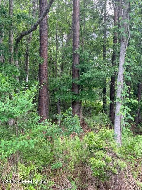 0 OLD KINGS Road, Jacksonville, FL 32219