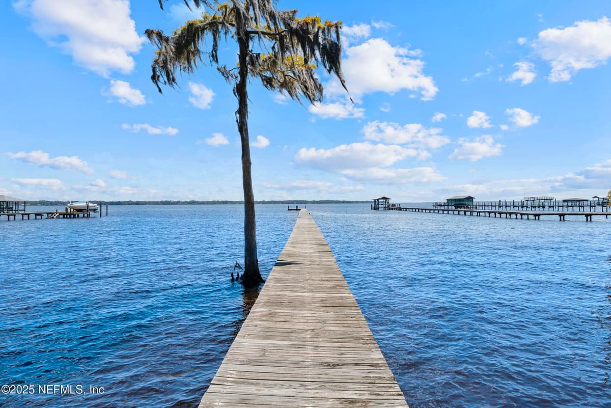 686 FREDERIC Drive, Fleming Island, FL 32003 2