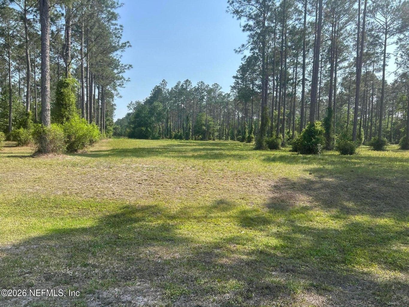 10966 PADDINGTON Way, Jacksonville, FL 32219