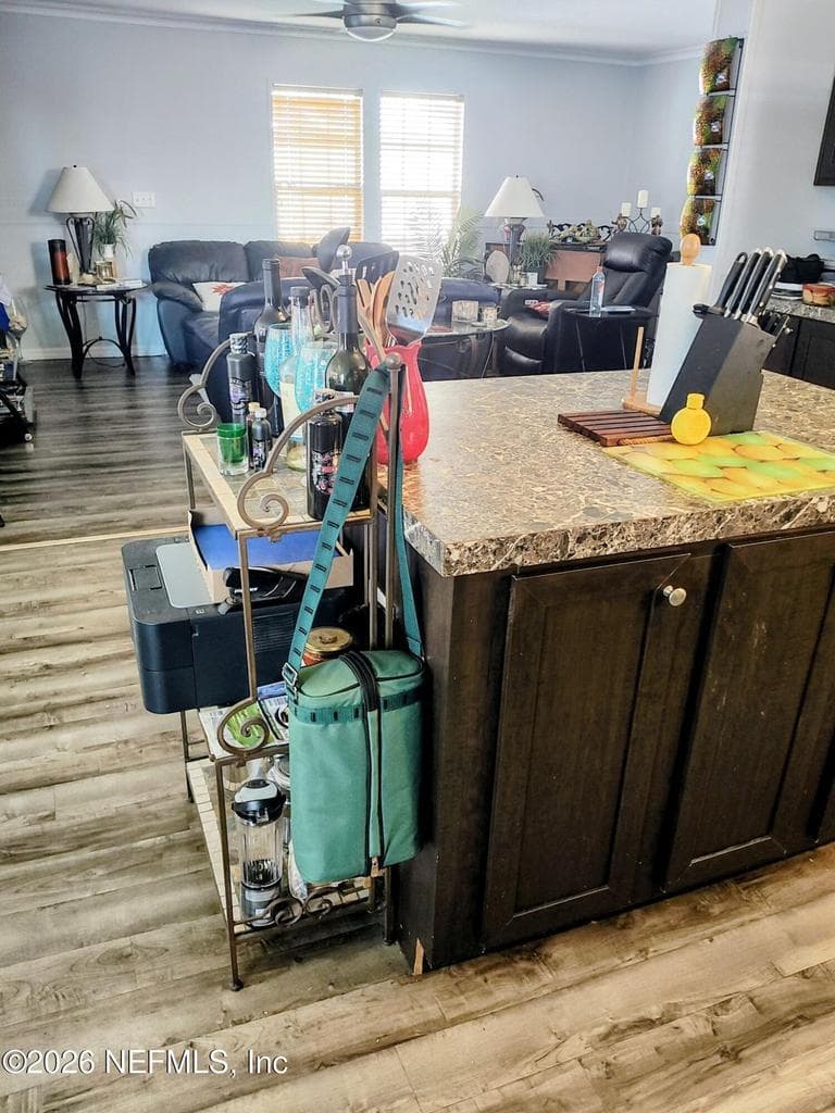 137 LEWIS Street, Edgewater, FL 32141 3