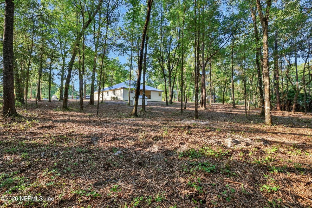 2830 TANSY Avenue, Middleburg, FL 32068 3