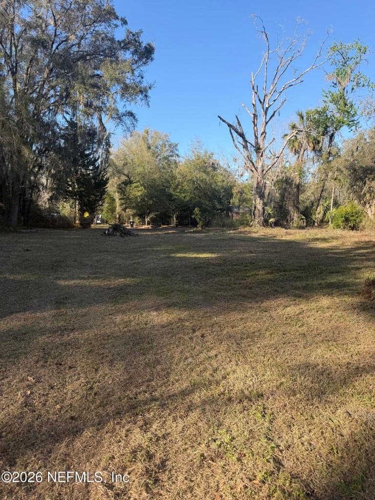 3477 OLIN BAXLEY, Middleburg, FL 32068