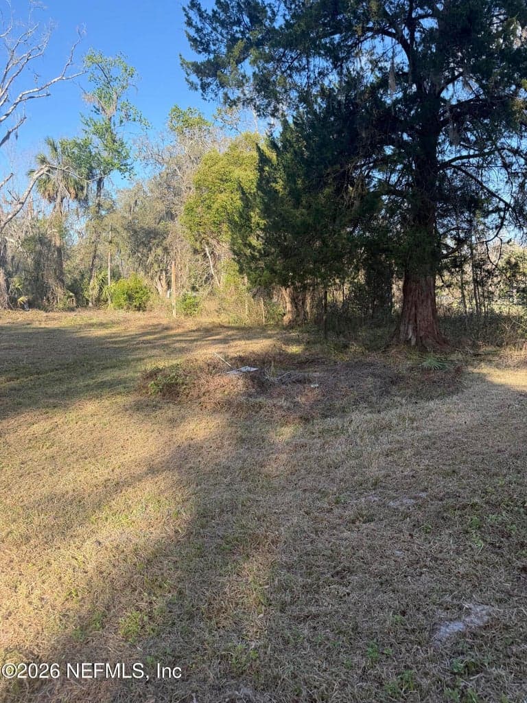 3477 OLIN BAXLEY, Middleburg, FL 32068 2