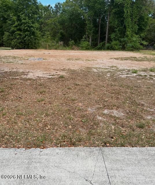10877 PEACEFUL HARBOR Drive, Jacksonville, FL 32218 2