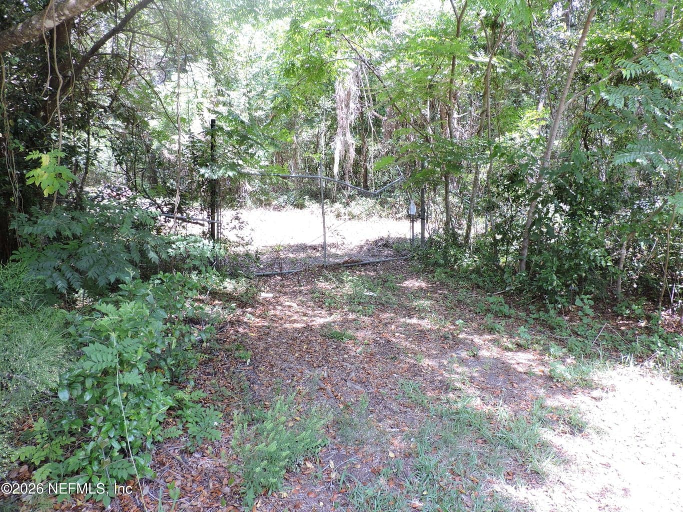 3725 COUNTY ROAD 315A, Green Cove Springs, FL 32043