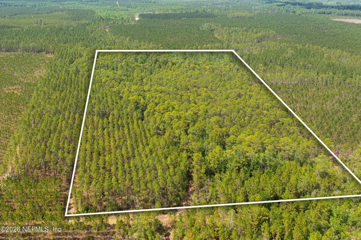 0 COUNTY ROAD 229, Sanderson, FL 32087, Sanderson, FL - photo 3