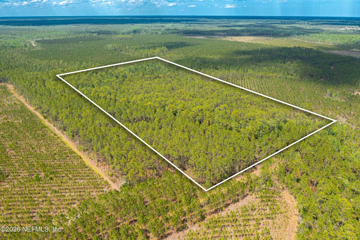0 COUNTY ROAD 229, Sanderson, FL 32087, Sanderson, FL - photo 2