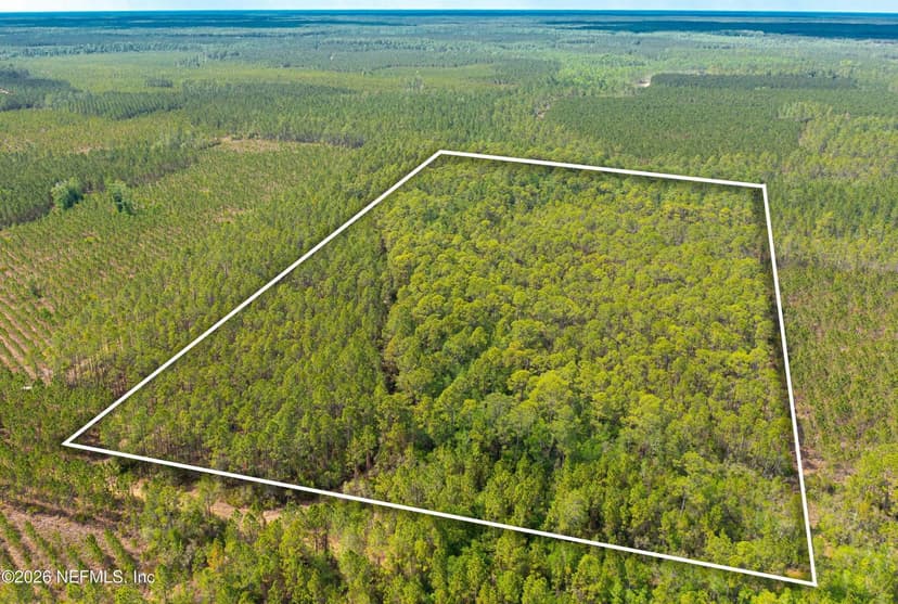 0 COUNTY ROAD 229, Sanderson, FL 32087
