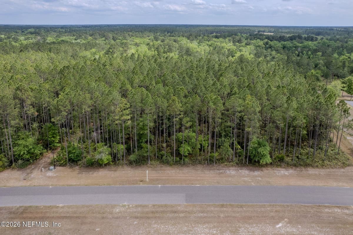 14062 DUNROVEN Drive, Bryceville, FL 32009, Bryceville, FL - photo 2