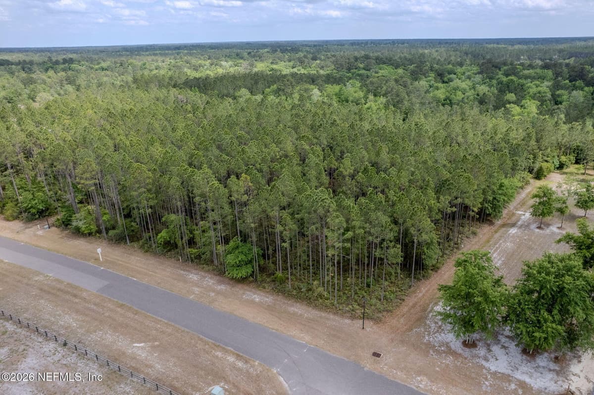 14062 DUNROVEN Drive, Bryceville, FL 32009, Bryceville, FL - photo 3