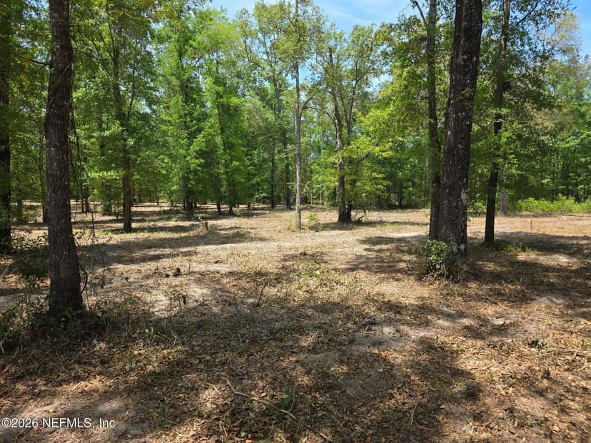 15433 BULLOCK BLUFF Road, Bryceville, FL 32009
