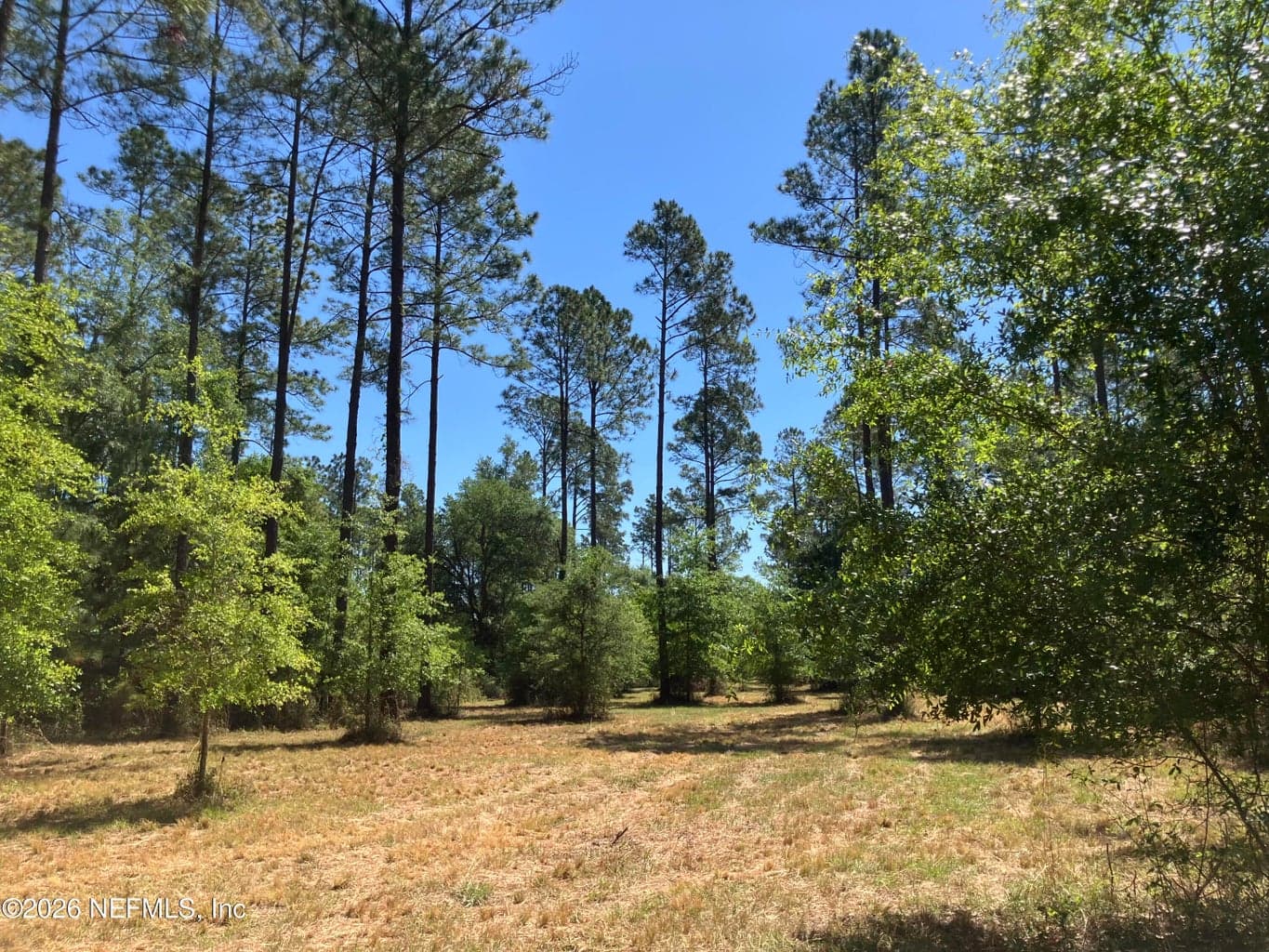 0 PROSPECT LANDING Road, Hilliard, FL 32046, Hilliard, FL - photo 1