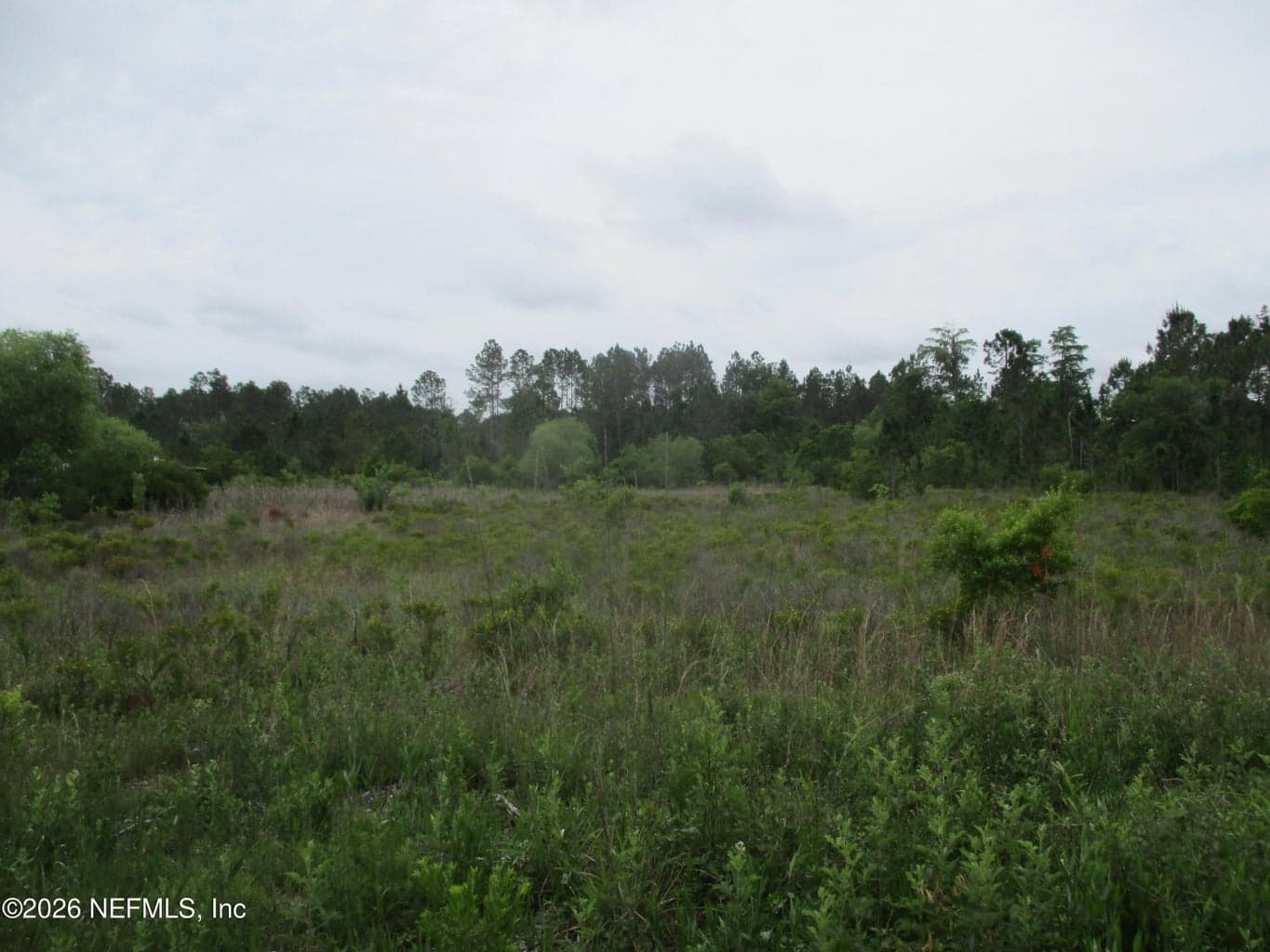 0 QUAIL Road, Callahan, FL 32011, Callahan, FL - photo 1