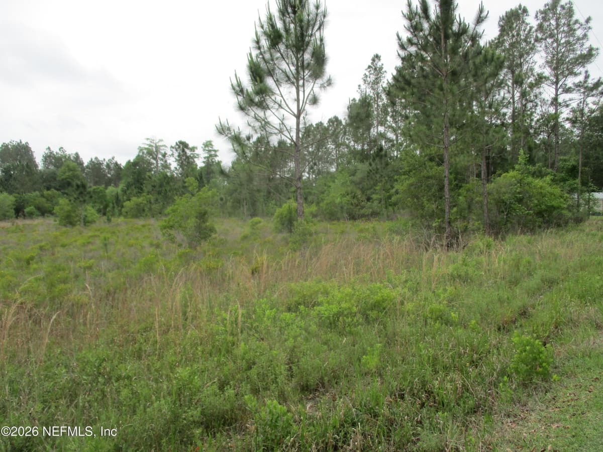 0 QUAIL Road, Callahan, FL 32011, Callahan, FL - photo 3