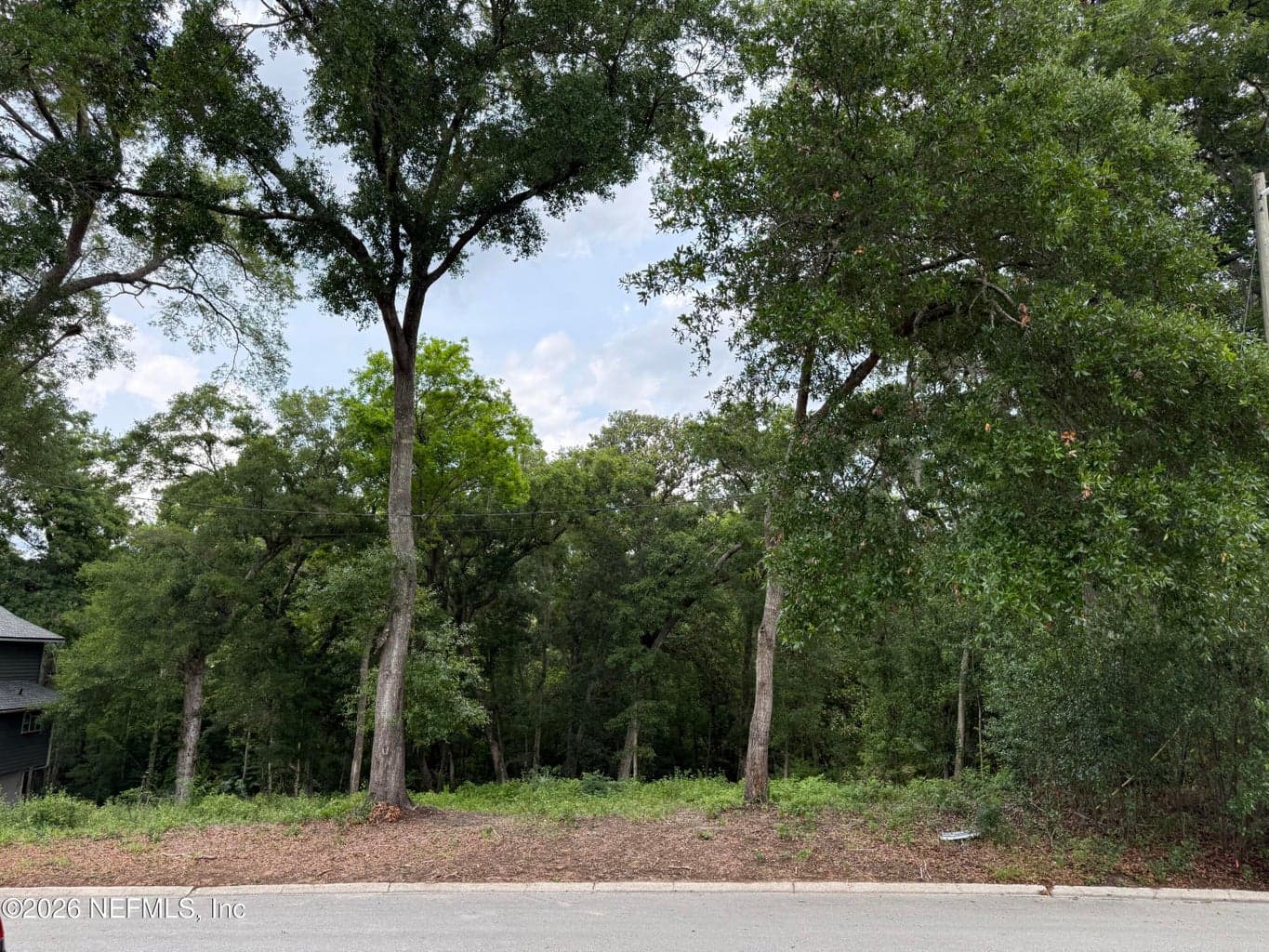 1891 HOLLY OAKS RAVINE Drive, Jacksonville, FL 32225, Jacksonville, FL - photo 1