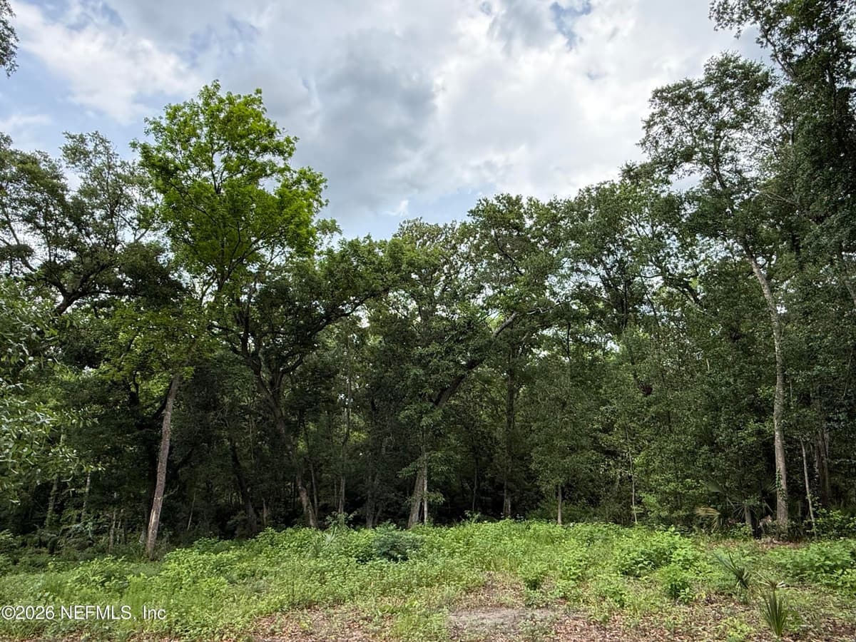 1891 HOLLY OAKS RAVINE Drive, Jacksonville, FL 32225, Jacksonville, FL - photo 2