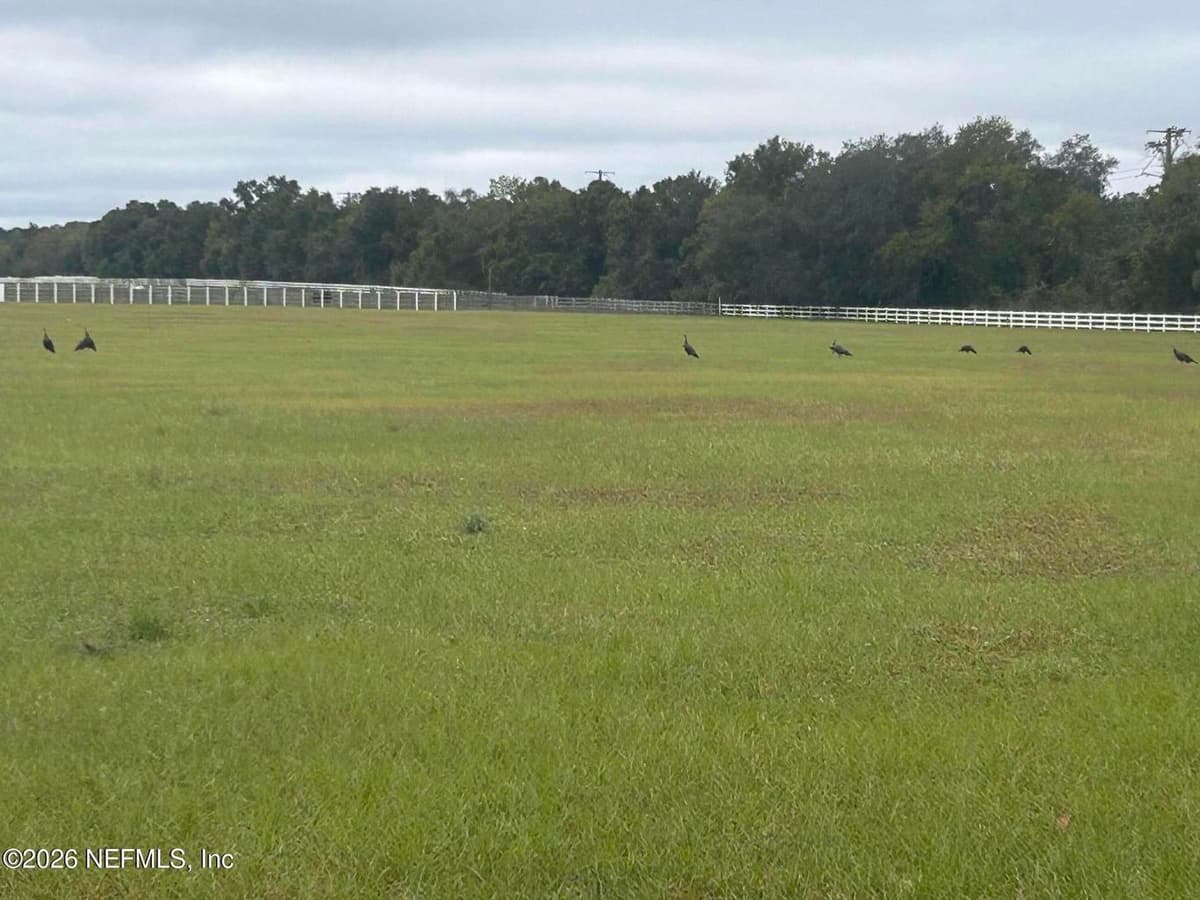 5411 STATE ROAD 21, Keystone Heights, FL 32656, Keystone Heights, FL - photo 2