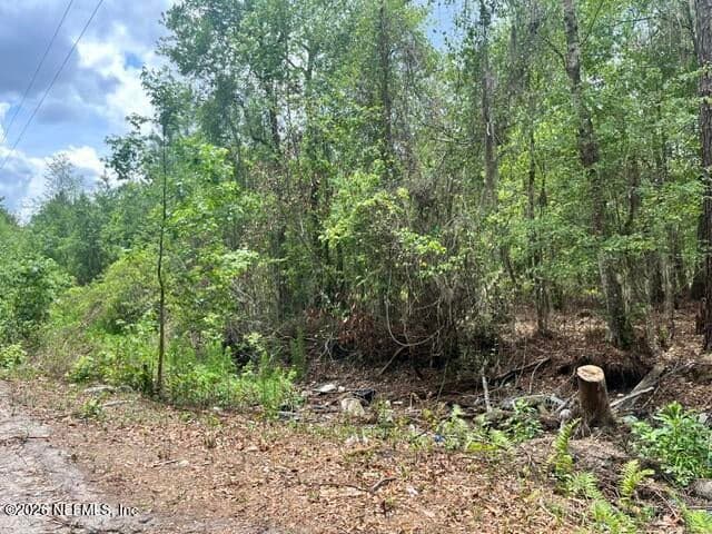 10891 NW COUNTY ROAD 229, Starke, FL 32091, Starke, FL - photo 2