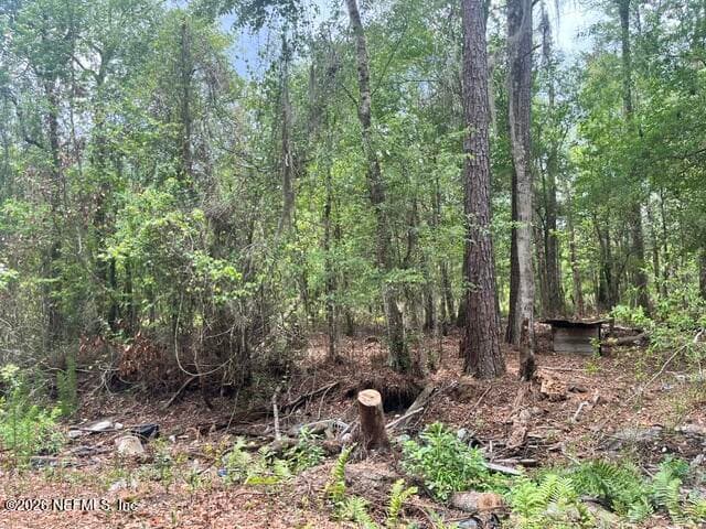 10891 NW COUNTY ROAD 229, Starke, FL 32091, Starke, FL - photo 3