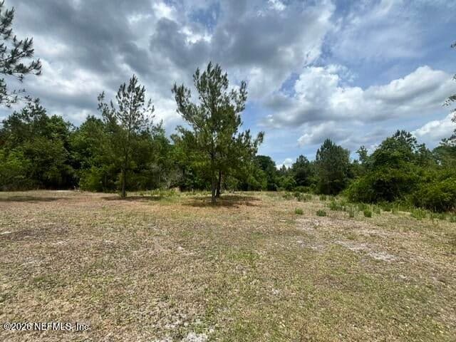 0 NW COUNTY RD 229, Starke, FL 32091, Starke, FL - photo 3