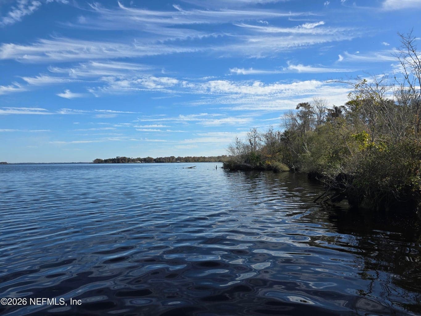 0 COUNTY ROAD 207A, East Palatka, FL 32131, East Palatka, FL - photo 1