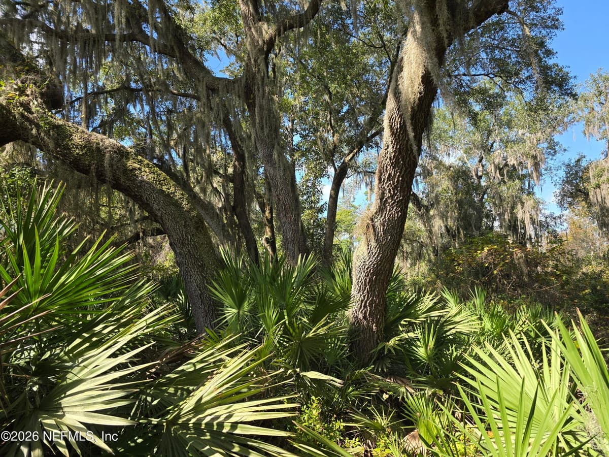 0 COUNTY ROAD 207A, East Palatka, FL 32131, East Palatka, FL - photo 3