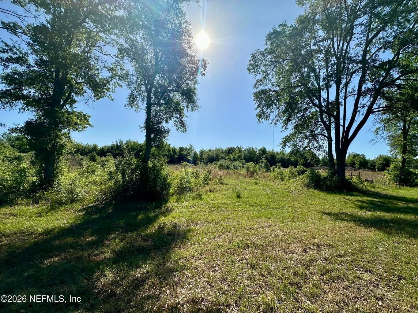 0 COUNTY ROAD 49, McAlpin, FL 32062, McAlpin, FL - photo 1