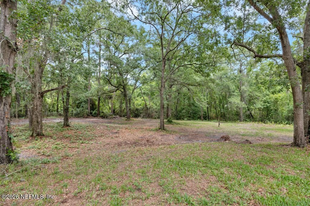 5310 JACARANDA Avenue, Middleburg, FL 32068, Middleburg, FL - photo 2