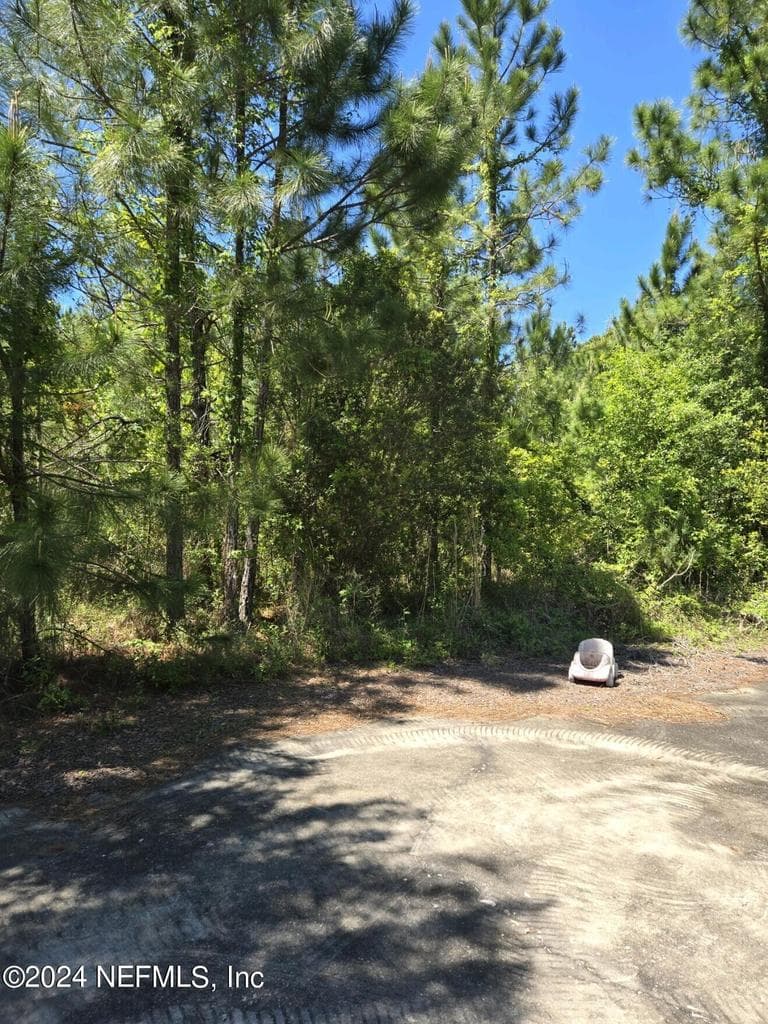 0 SE 47TH Avenue, Starke, FL 32091, Starke, FL - photo 2