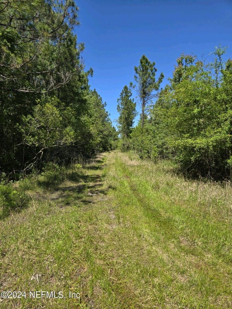 0 SE 47TH Avenue, Starke, FL 32091, Starke, FL - photo 3