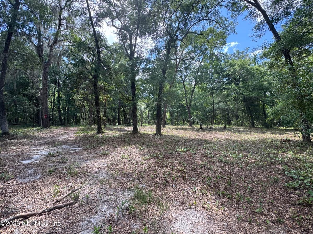 241 INDIAN LAKES FOREST Road, Florahome, FL 32140, Florahome, FL - photo 2