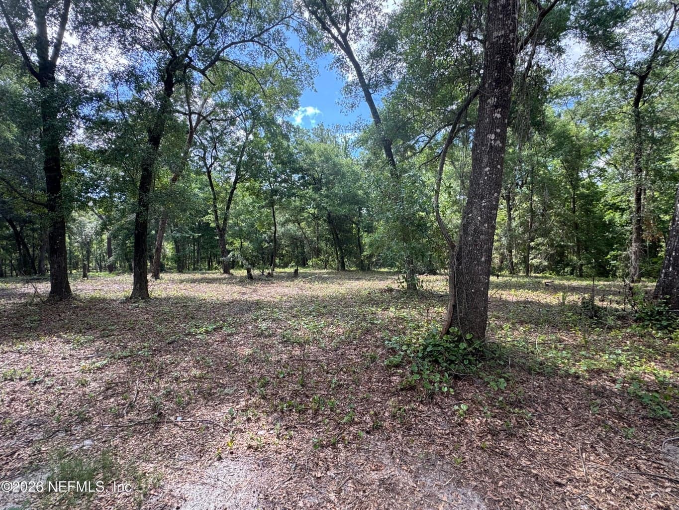 241 INDIAN LAKES FOREST Road, Florahome, FL 32140, Florahome, FL - photo 1
