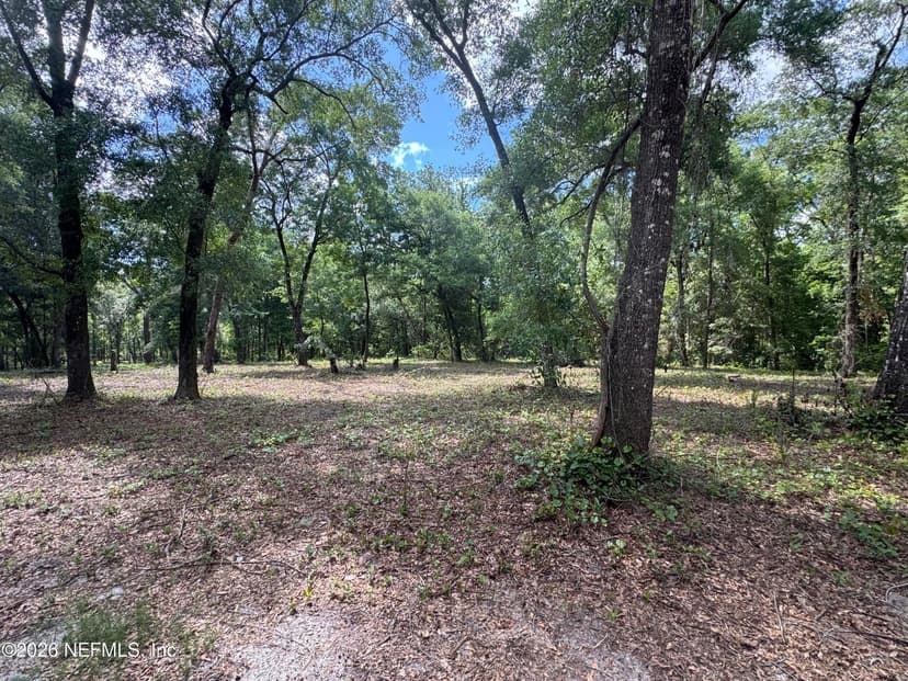 241 INDIAN LAKES FOREST Road, Florahome, FL 32140