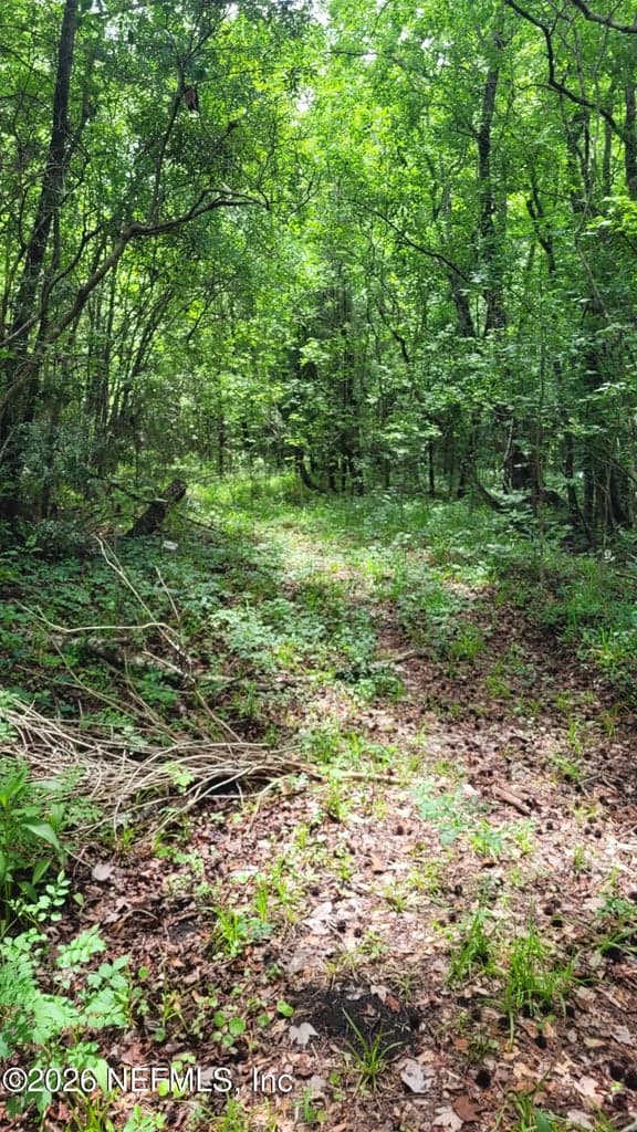 0 HUTCHINSON Road, Jacksonville, FL 32220, Jacksonville, FL - photo 2